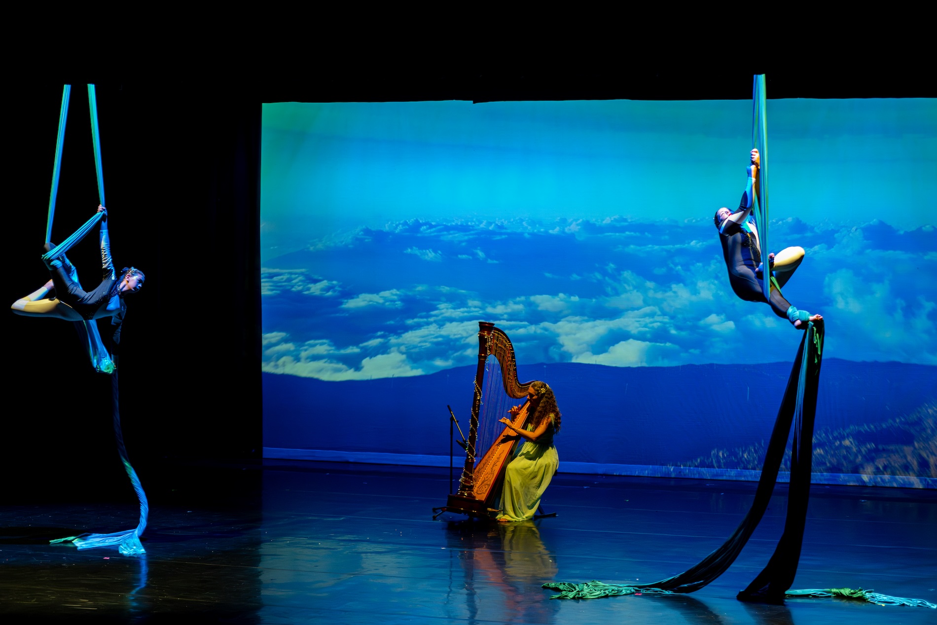 Taty harp  dance areal 2025 copy